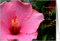 College Graduation,Congratulations! Pink Hibiscus card