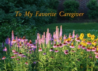 Favorite Caregiver,...