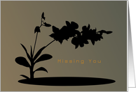 Adult, Sexy Missing You, Hawaiian Orchids, Shadow with Gradient Backdrop card