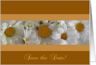 Save the Date with Daisies card