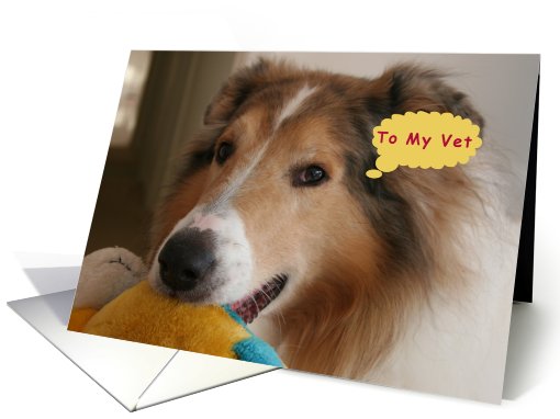 Thank You to My Vet, Collie with a Dolly card (824620)