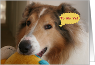Thank You to My Vet, Collie with a Dolly card