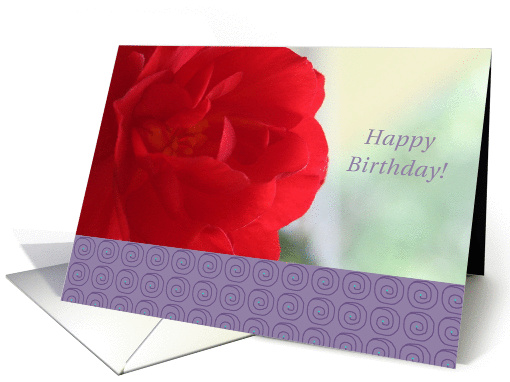 from All of Us, Happy Birthday, Red Begonia, blank card (848822)