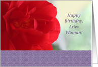 Aries Woman, Happy Birthday, Red Begonia card