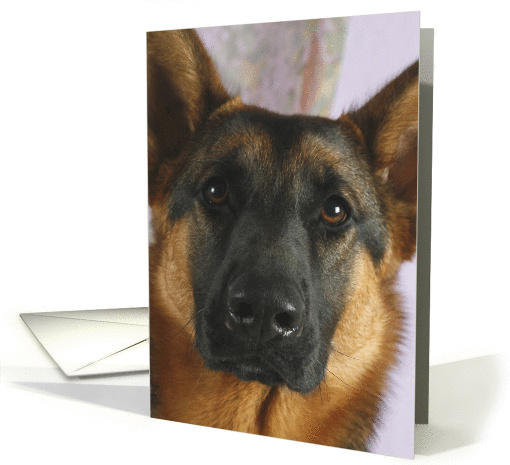 Willow the German Sheperd Dog card (424484)
