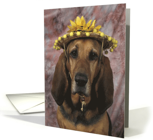 Lola the Bloodhound in a Yellow Daisy Straw Hat card (424541)
