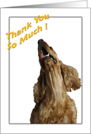 Cocker Spaniel - Thank you so much card