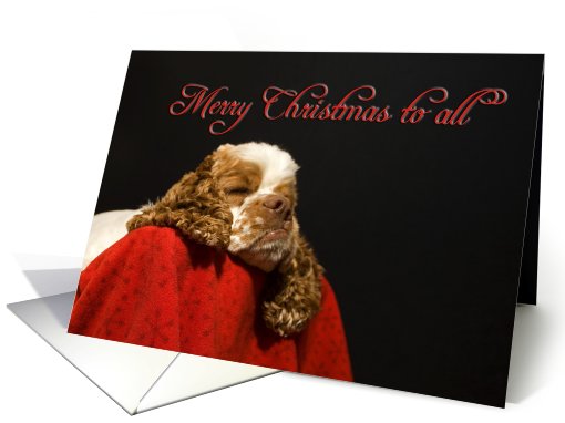 Christmas Card - featuring a Cocker Spaniel card (519313)