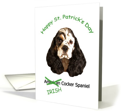 Happy St. Patrick's Day - (Irish) American Cocker Spaniel card