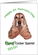 Happy St. Patrick’s Day - (Irish) American Cocker Spaniel card