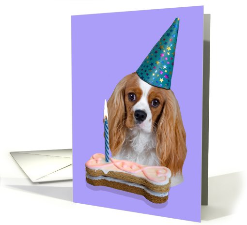 Happy Birthday Card - featuring a Cavalier King Charles Spaniel card