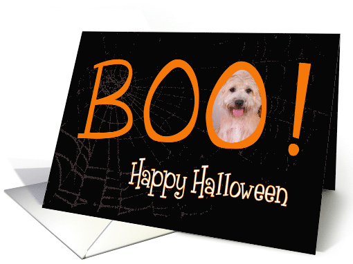 Boo! Happy Halloween - featuring a Glen of Imaal Terrier card (707244)
