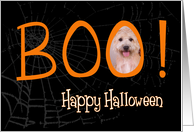 Boo! Happy Halloween - featuring a Glen of Imaal Terrier card