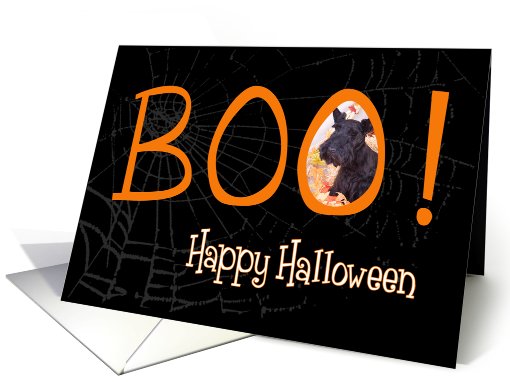 Boo! Happy Halloween - featuring a Scottish Terrier card (707264)