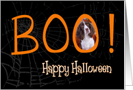 Boo! Happy Halloween - featuring English Springer Spaniel card