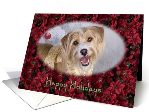 Happy Holidays - featuring a Terrier Mix surrounded by... (728376)