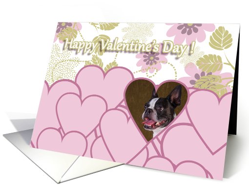 Valentine's Greeting - featuring a Boston Terrier card (728746)