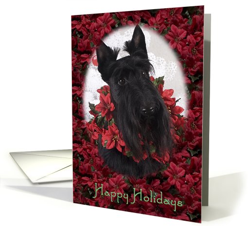 Happy Holidays - featuring a Scottish Terrier surrounded... (737444)