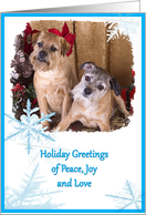 Holiday Greeting - featuring two Border Terriers card