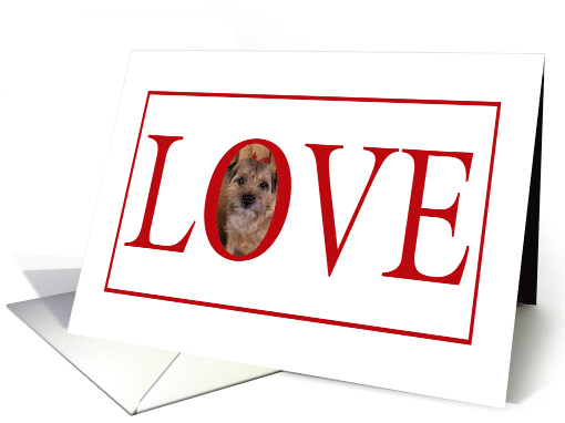 Valentine's Love Greeting - featuring a Border Terrier card (738783)