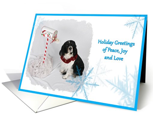 Holiday Greetings, English Springer Spaniel surrounded by... (751795)