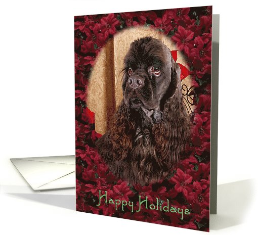 Happy Holidays - chocolate American Cocker Spaniel... (751805)