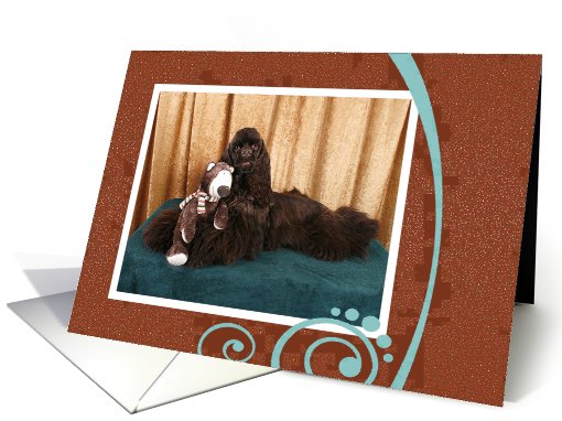 Chocolate Cocker Spaniel hugging a teddy bear card (751807)