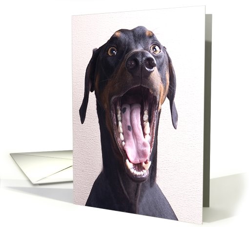 CONGRATULATIONS! On your promotion! - featuring a Doberman... (773509)