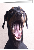 CONGRATULATIONS! On your promotion! - featuring a Doberman Pinscher card