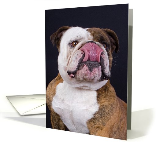 Thanks for dinner - card featuring an English Bulldog card (776294)