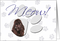 April Fool’s Day Greeting - featuring a chocolate American Cocker Spaniel card