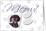 April Fool’s Day Greeting - featuring a black and tan Dachshund card