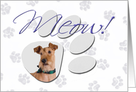 April Fool’s Day Greeting - featuring an Irish Terrier card