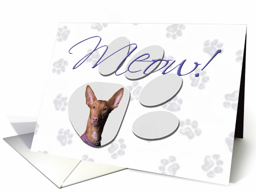 April Fool's Day Greeting - featuring a Pharaoh Hound card (782114)