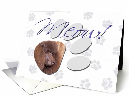 April Fool's Day Greeting - featuring a brown Standard Poodle card