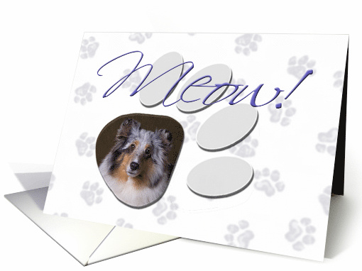 April Fool's Day Greeting - featuring a blue merle... (782624)