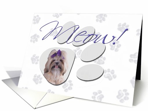 April Fool's Day Greeting - featuring a Shih Tzu card (782626)