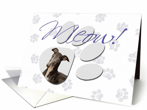 April Fool's Day Greeting - featuring a Whippet card (783754)