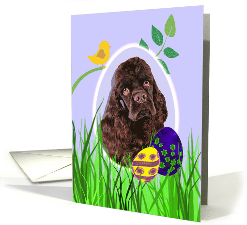 Easter Card featuring a chocolate American Cocker Spaniel card