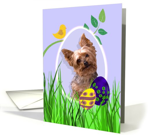 Easter Card featuring a Yorkshire Terrier card (784086)