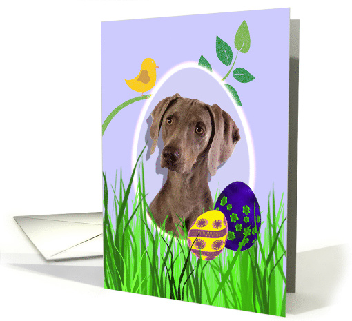 Easter Card featuring a Weimeraner card (784090)
