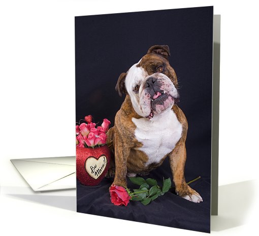 I love you - featuring an English Bulldog with roses card (784261)