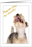 Thank you - featuring an enthusiastic Lakeland Terrier card