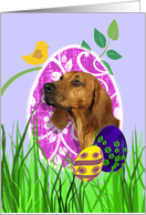 Easter Card featuring a Redbone Coonhound card