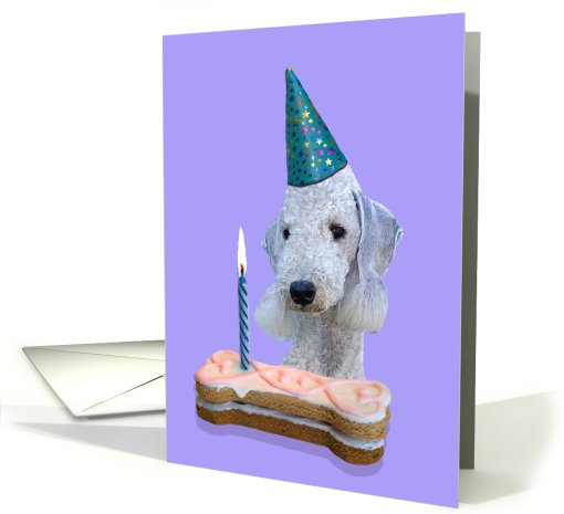 Birthday Card featuring a Bedlington Terrier card (784973)