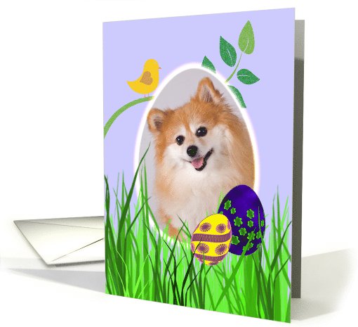 Easter Card featuring a Pomeranian card (784990)