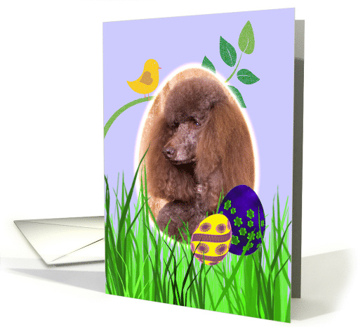 Easter Card featuring a Standard Poodle card (784991)