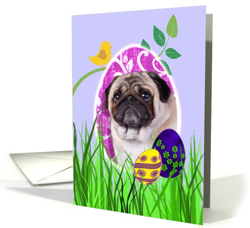 Easter Card featuring a Pug card (784992)
