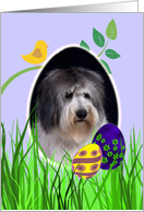 Easter Card featuring a Polish Lowland Sheepdog card