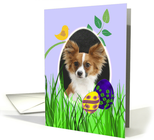 Easter Card featuring a Papillon card (785987)